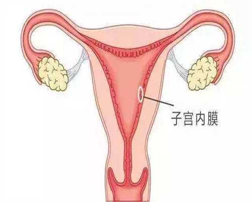 深圳人工受孕术：孕期的4种疼痛现象是正常的，