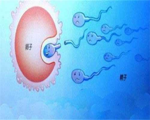 深圳试管婴儿助孕：孕期，如何判断胎儿的头和