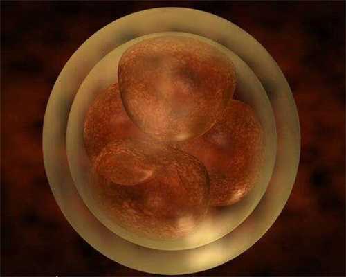深圳助孕快找坤和助孕：孕四月的点“锌”，4种