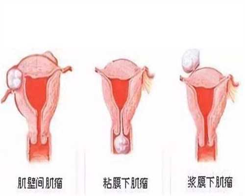 深圳助孕中心靠谱吗：孕期胎儿啥时候正式“长