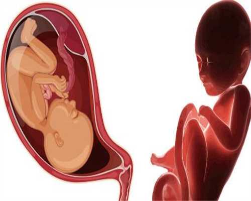 坤和助孕,孕期40周指南怀孕第2周，进入排卵期