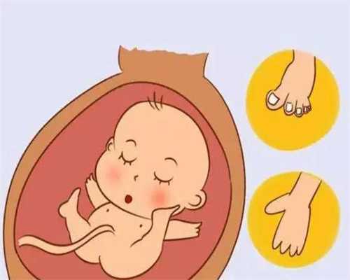 深圳子嗣传承助孕,没吃叶酸就怀孕了，对胎儿影