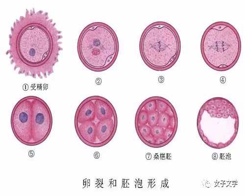 深圳供卵助孕医院,怀孕后，这5种情况都会导致分
