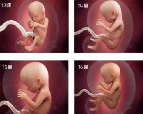 有胎心、有胎芽，为何过了两周会发生胎停这些