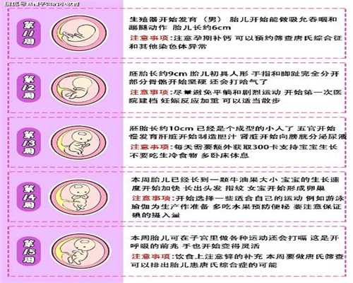 深圳代孕新闻,2分钟看懂性激素六项报告单之看懂