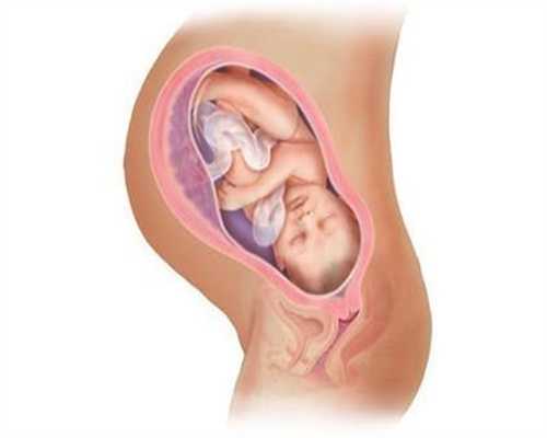 <b>深圳代孕中介,怀孕前三个月，胎儿会忌讳这3件事</b>