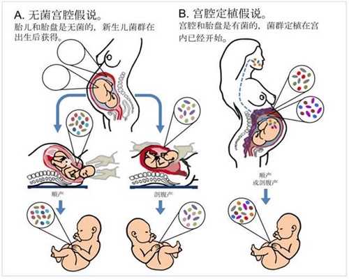 深圳代孕公司排名,怀孕前三个月为什么不能对外