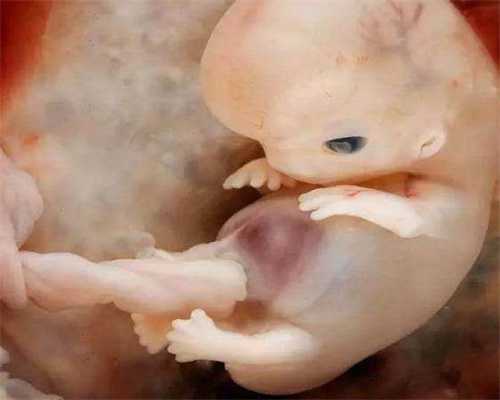 深圳代孕八胞胎,试管婴儿究竟是怎样的“试管”