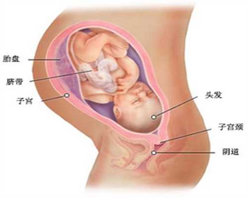 深圳有没有代孕医院_如何从孕妈面相和体态看出