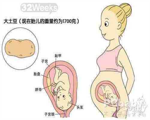 深圳代孕最新政策_如何提高测孕试纸的准确率？