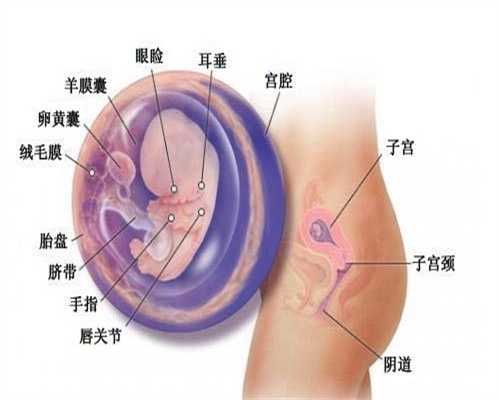 深圳代孕电话_多大的声音会影响胎儿
