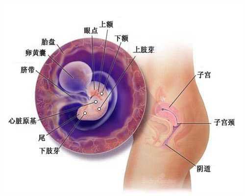 <b>深圳哪里有代孕的人_怀孕初期能久坐吗</b>