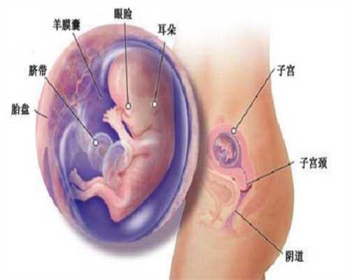 深圳代孕去哪里找_半个月婴儿便秘怎么办