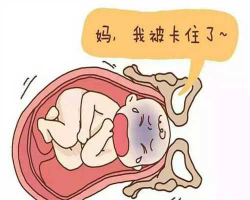 深圳代孕男孩多少钱_婴儿吃奶拉肚子 预防是根本