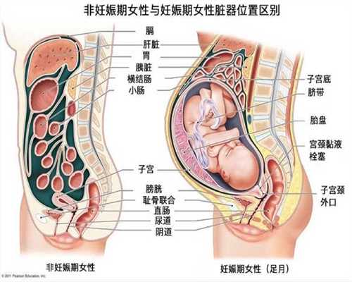 深圳供卵代孕流程_婴儿营养食谱
