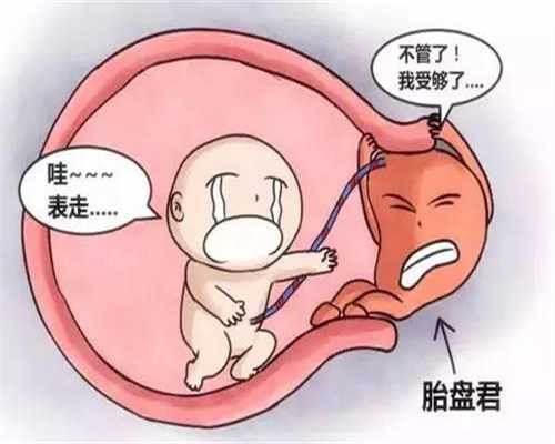 深圳代孕套餐_胎儿位于子宫前壁