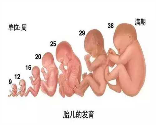 深圳哪里有代怀孕_孕妇常见的异常胎位有哪几种