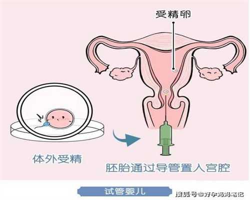 深圳代孕需要准备什么：母亲节特辑（二）｜ 正确打开孕妈膳食营养的盒子