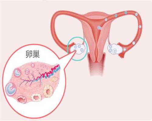 深圳代孕为什么违法：排卵期同房三次怀孕几率多大