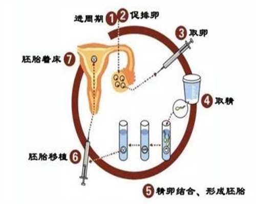 深圳代孕的过程：深圳代孕成功率有多少_深圳代怀孕服务