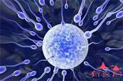 深圳2020年代孕生子价格_精子和卵子不结合会怀孕吗