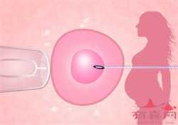 深圳代孕包成功龙凤胎_准妈妈必知：艰苦的分娩过程如何度过？