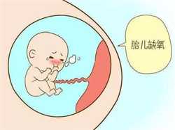 深圳助孕公司机构_怀男宝最明显的特征有哪些