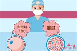 深圳最诚信的代孕公司_老年人免疫力低 老年人如何提高免疫力
