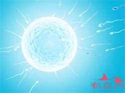 深圳宝林助孕机构_怀孕二个月胎儿大小是怎样的？