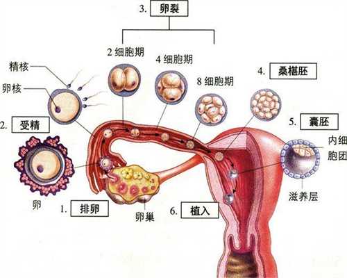 广州做代孕条件-广州有合法的代孕机构吗【不孕不育我来帮，临床应用保健康