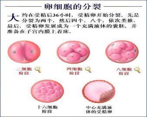 广州代孕多少钱-广州代孕收费-广州代孕一般要多少钱