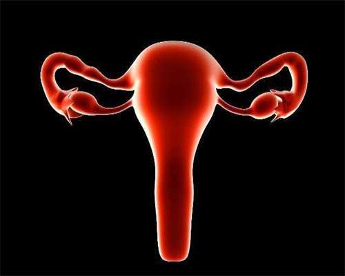 佛山2021年代孕宝宝_佛山做试管代孕一共需要多少钱_女性卵巢保养应常吃三类食