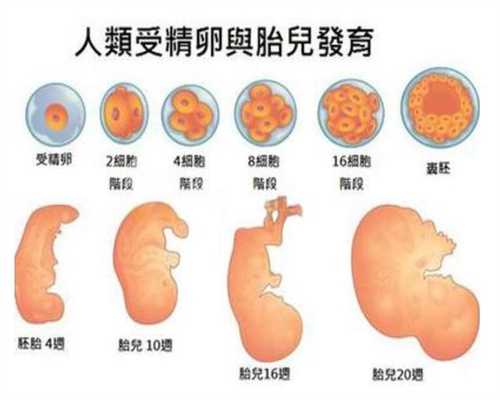 广州正规代孕-广州取卵代孕-广州代孕公司哪家诚信