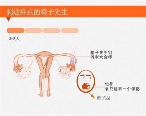 广州老夫少妻代孕-广州女子代孕多少钱【广州科学代孕，攻克不孕不育难题】